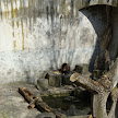 DSC00219.JPG