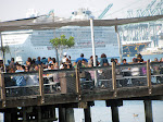 IMG_7816.JPG