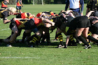 RCDwingeloo/De Wrotters - Alkmaar (29-0) 2011-10-23