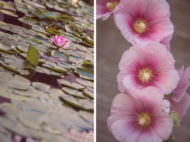 getty villa 5