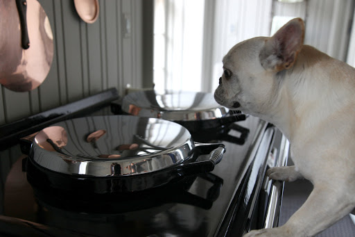 Aga cookers have been around since the beginning of the 20th century.  This model has two hot plates for stove top cooking.