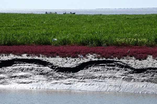 [SYG_4377%255B2%255D.jpg]