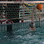Waterpolodagen april 2013
