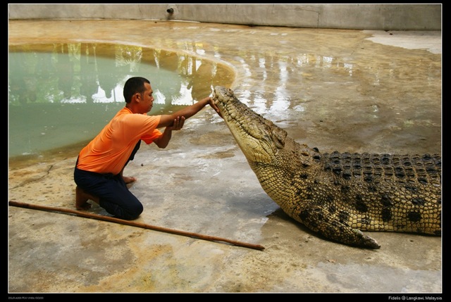 [langkawi601.jpg]