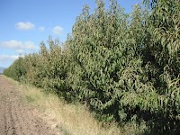 DSCF1623.JPG