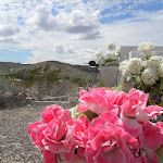 PICT2931.JPG