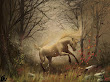 Dance Of The Horse