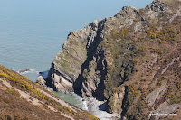 IMG_6010.JPG Photo