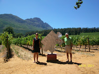 Winery visits - Stellenbosch, South Africa