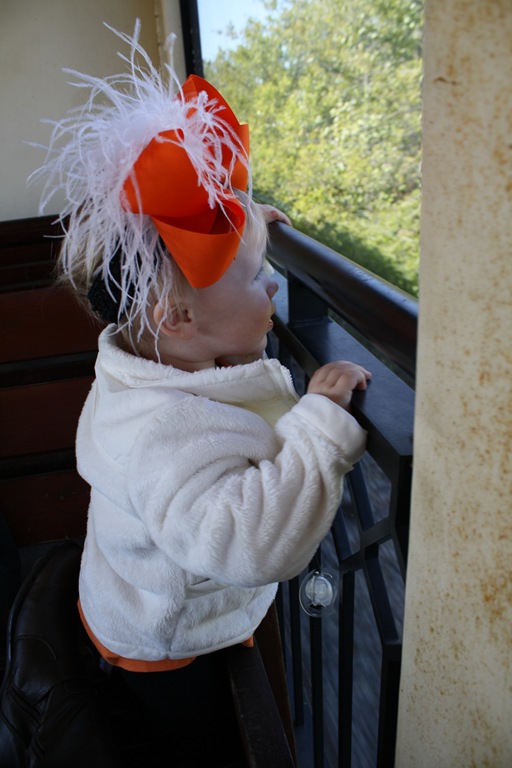 [IMG_5204e%255B5%255D.jpg]
