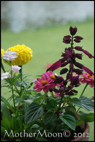 DSC_0019 DSC_0019