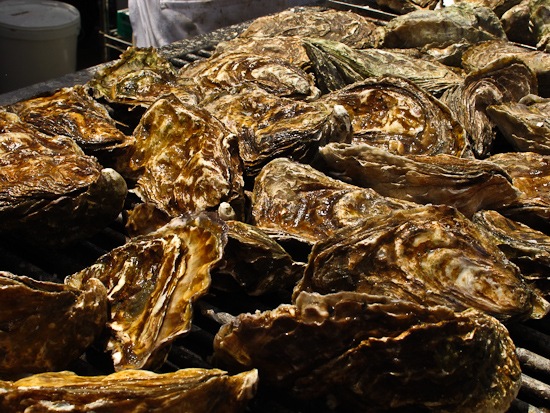 Arcata Oyster Festival (3)