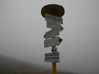SAM_6548.JPG Photo