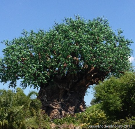 [DisneyDay2AnimalKingdomTree8.jpg]