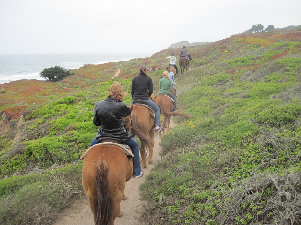 [IMG_0796%255B5%255D.jpg]