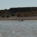 View album