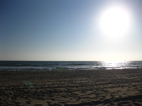 IMG_4611.JPG