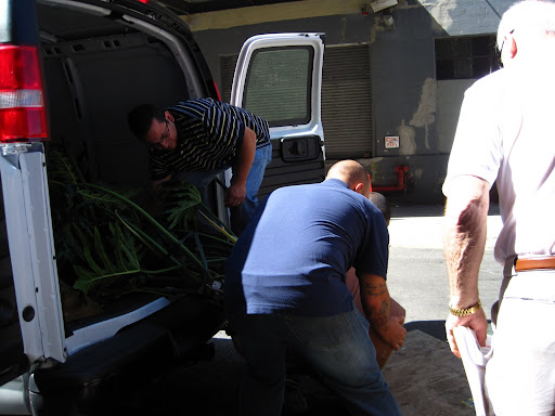 It took three MSLO employees to get it off the truck.