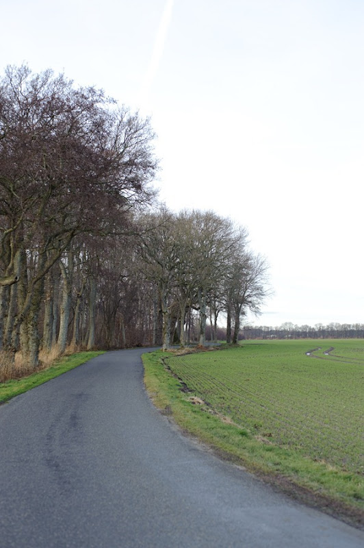 DSC_7247