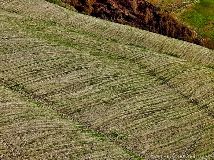 Tuscany campagna senese Crete Senesi