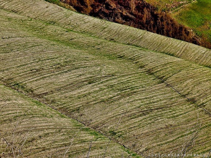 Crete Senesi