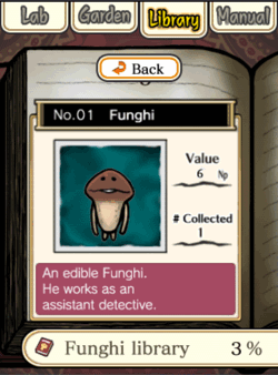 Mushroom Garden-06