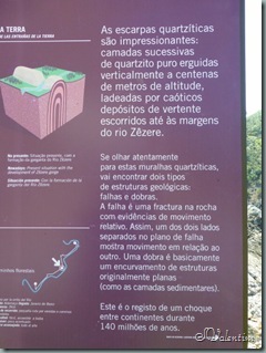 P1020534 P1020534