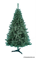 1.5m-roman-fir-blue-green.jpg