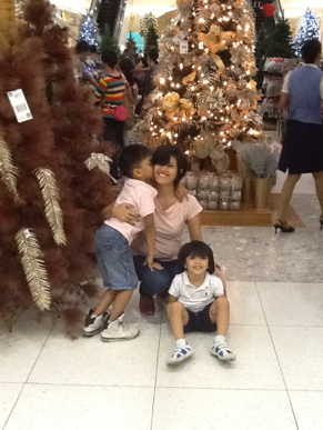 Brown Xmas trees2