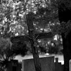 IMGP5753_bw.jpg IMGP5753_bw.jpg