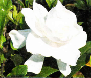 [image%255B2%255D.png]