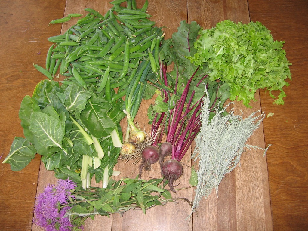 [garden%2520004%255B4%255D.jpg]