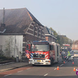 IMG_7203.jpg