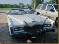 IMG_2692 (800x600) IMG_2692 (800x600)