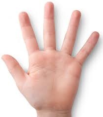 [hand%255B3%255D.jpg]