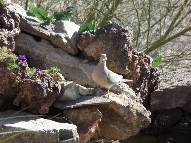 [DSCF09032.jpg]