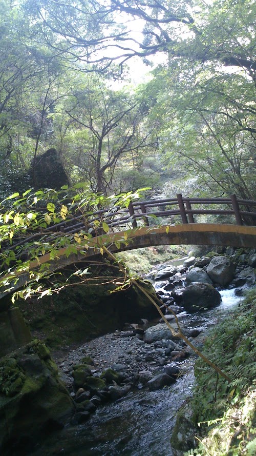 DSC_0365.jpg DSC_0365.jpg