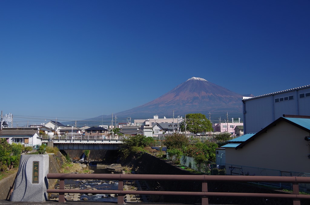 [IMGP34453.jpg]