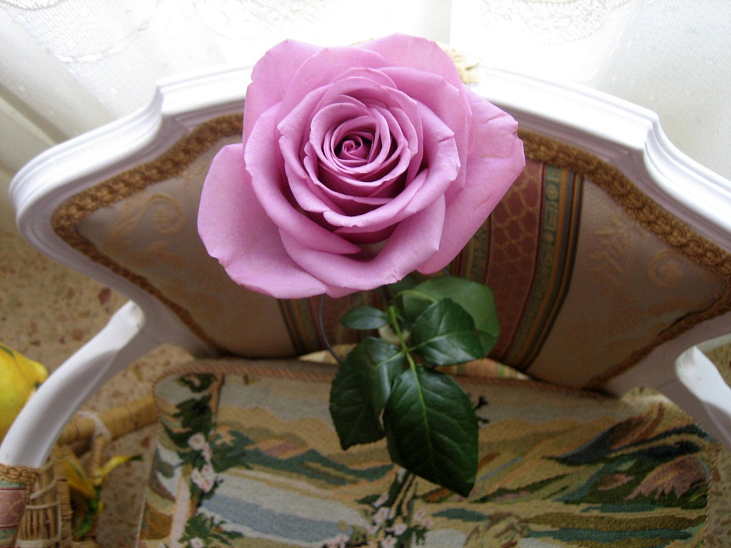 [IMG_0174%255B5%255D.jpg]