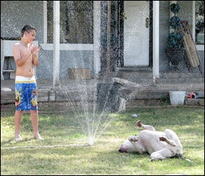 IMG_7456 IMG_7456