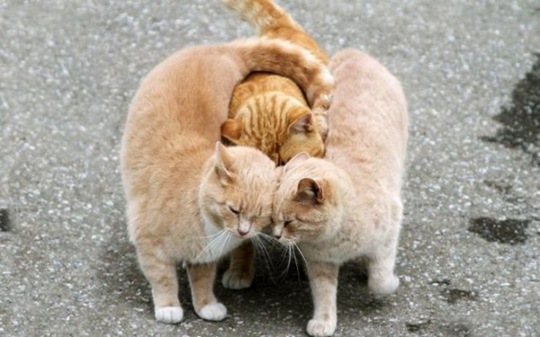 [viral-picdump-691201%255B2%255D.jpg]