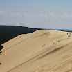 IMG_1295.jpg
