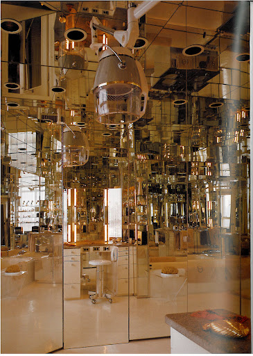And I thought that I liked mirrors! This room puts my 250-pound Desiron mirror to shame.