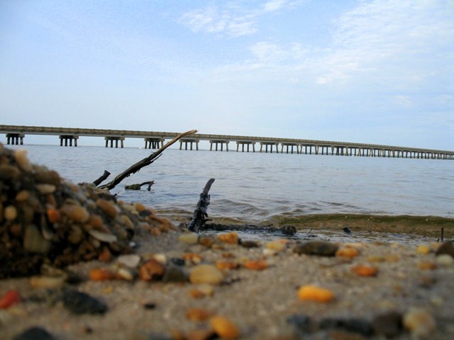 [IMG_4941%255B11%255D.jpg]