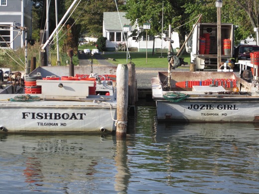[sailing%2520days%25203-4%2520100%255B4%255D.jpg]