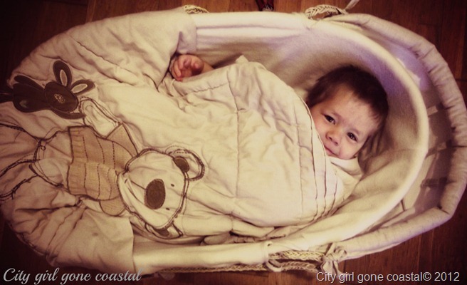 ethan in a basket