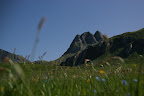 DSC03211.JPG