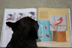 Wait - I know that cat and also that bird!