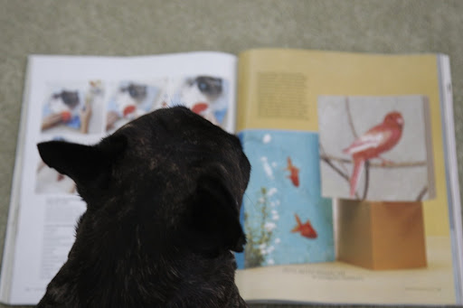 Wait - I know that cat and also that bird!