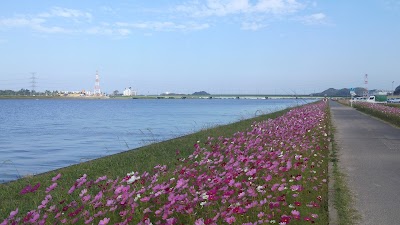 2014-10-11 10.10.50.jpg